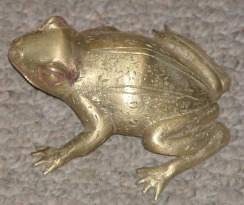 #312 - Bronze Frog, cameroon.