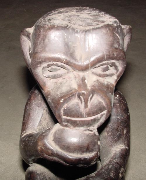 #346 - Monkey, Baola, Cameroon.